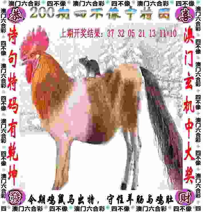 全国跳水冠军赛：陈芋汐10米台强势夺金
